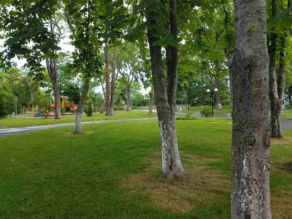 Villa Salena Primorsko Exteriör bild